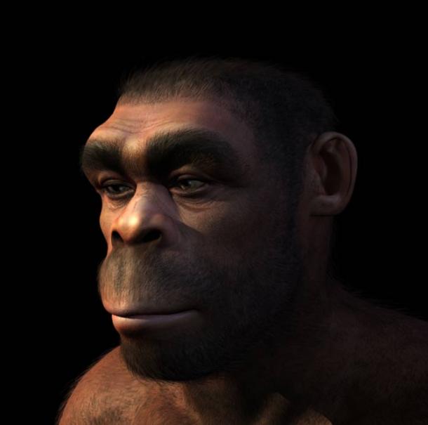 Portrait of a Homo erectus male