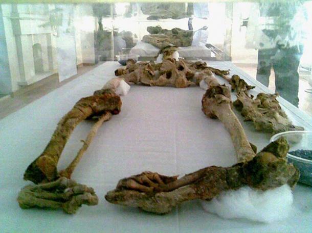 Remains of Saltman 2 on display in Zanjan. One of the Saltmen found in 2004. 