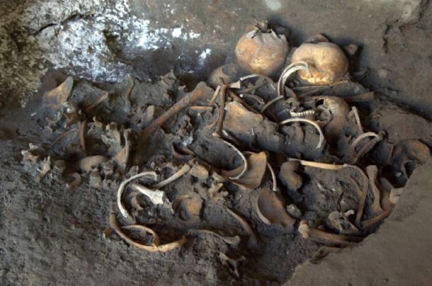 Skeletons found in a shop near the Porto Ercolano at Pompeii.