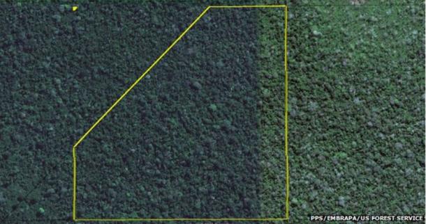 Mysterious Geoglyphs of Amazonia May Show Ancient Humanity Had an Major Impact on Rainforest Traditional-aerial-imagery