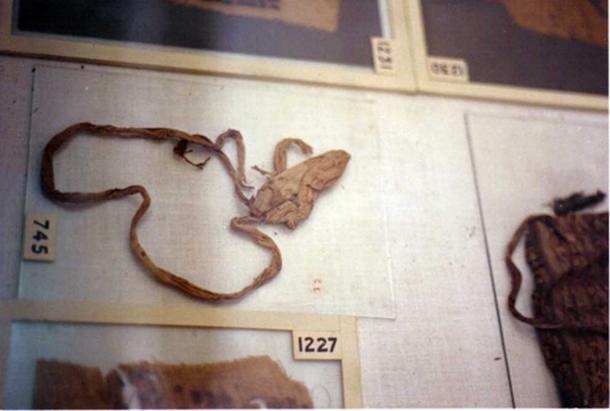 Tutankhamun’s condom, identified via DNA residue. 