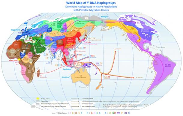 Time of haplogroup growth in different parts of the world.