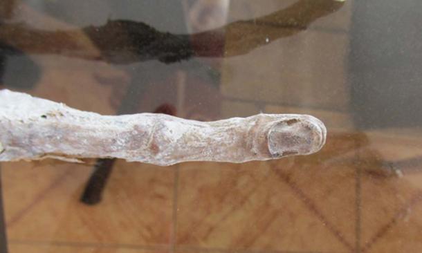 Extremely Strange ‘Alien’ Head and Hand Found in Peru A-nail