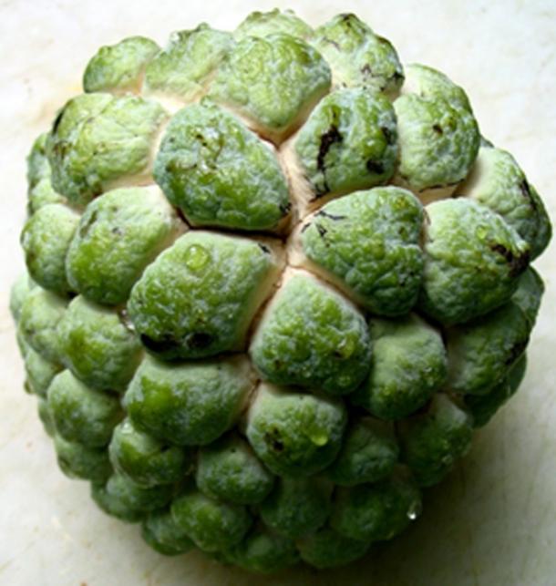 A file photo of a custard apple.
