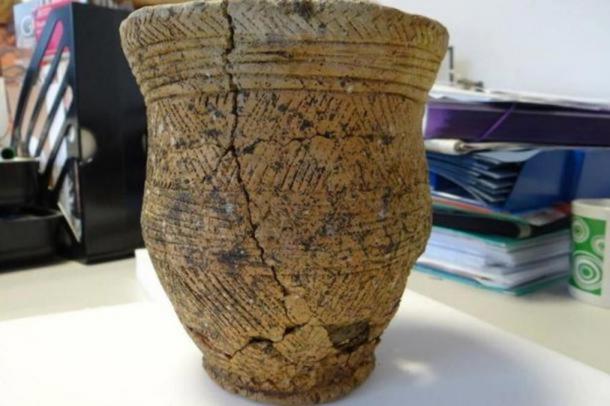 The decorated beaker found at the Achavanich Beaker burial.