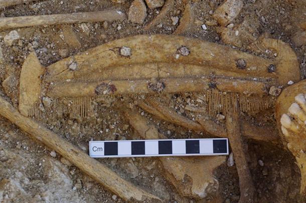 A decorated bone comb found during the excavation of a grave.