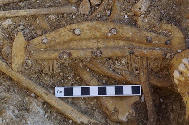 A decorated bone comb found during the excavation of a grave. 