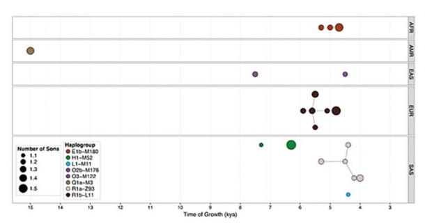 Time of haplogroup growth in different parts of the world.