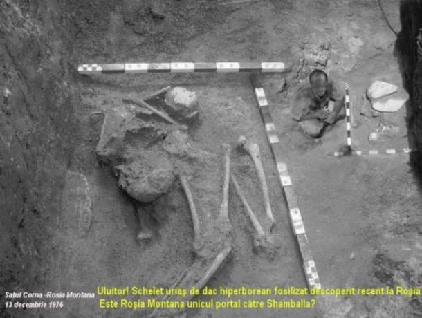 The discovery of a skeleton that measures 10 meters or 32.8 Feet.