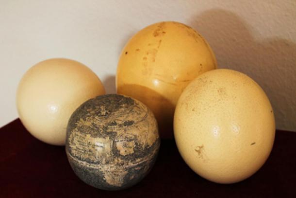 The early sixteenth-century engraved ostrich egg globe among other ostrich eggs. Photo: Washington Map Society.