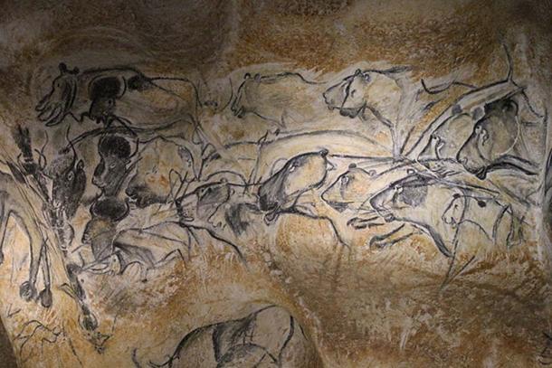 The charcoal drawings found at Chauvet show a high degree of detail. Copy of the Lions Panel of the Chauvet Cave.
