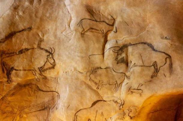 Carbon dating cave art