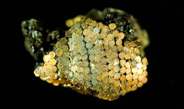 Archaeologists reveal astounding Bronze Age microscopic gold work from around Stonehenge Bronze-Age-microscopic-gold-work-stonehenge