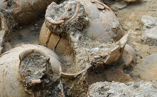 Trove of Ancient Wine Found in Bronze Age Canaanite Palace Could Fight Cancer Canaanite-Wine-Cellar-Tel-Kabri