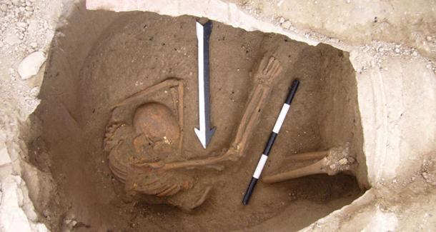 Skeleton found in Sidon, Lebanon, from which the Canaanite DNA was extracted
