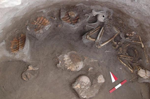 Turtles May Have Been Feasted On as Part of Funeral Rites at Ancient Turkey Site