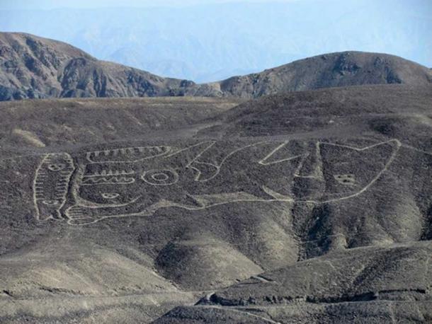 The rediscovered orca geoglyph lies on a desert hillside in the remote Palpa region of southern Peru.