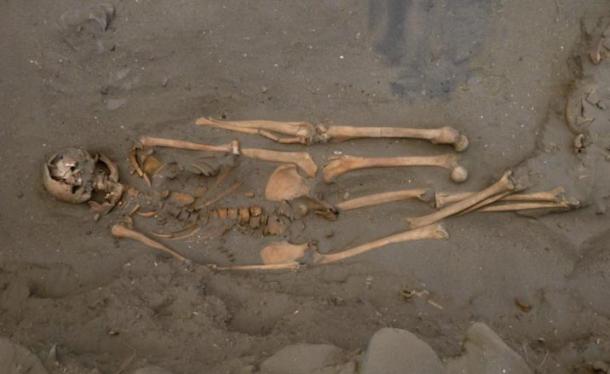 Ancient remains of a Peruvian shark fisherman, who was buried with two additional left legs.