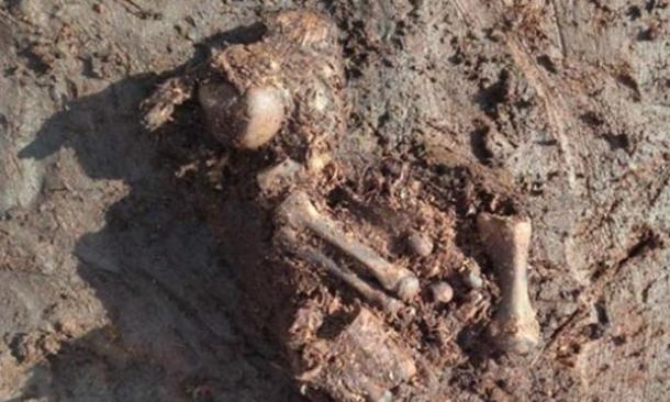Ancient bog body found in Ireland