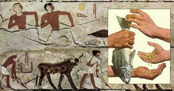 Egyptian trading system