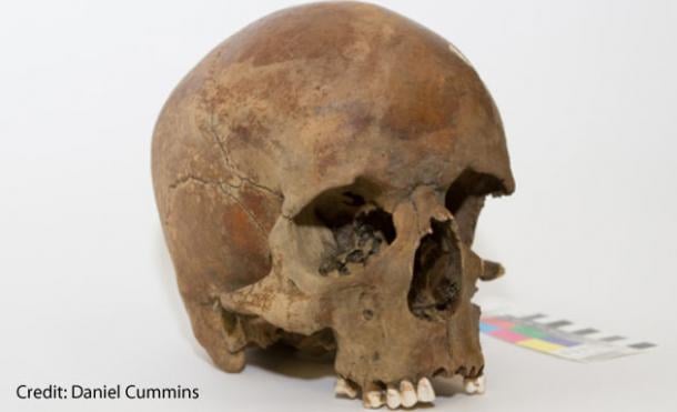 Mysterious skull found in Australia Could Rewrite History