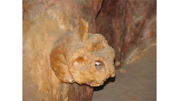 New Information on the Petralona Skull Controversy