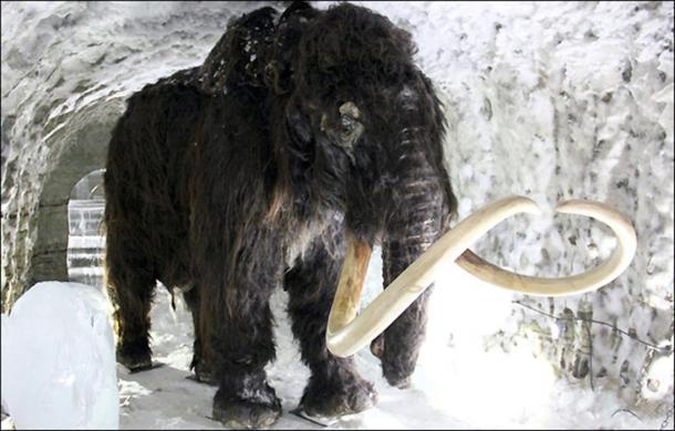 A woolly mammoth inside a permafrost cave in Yakutsk.