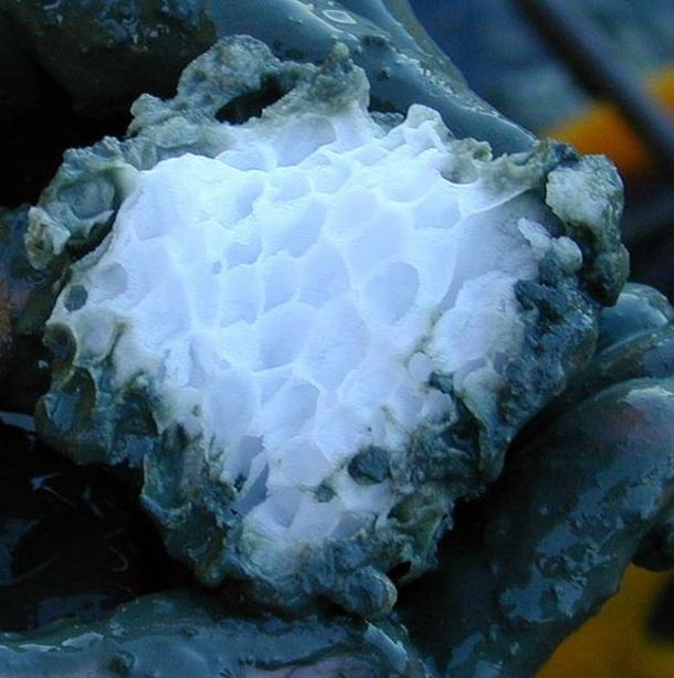 Structure of a gas hydrate (methane clathrate) block embedded in the sediment of hydrate ridge, off Oregon, USA. The gas hydrates were found during a research cruise with the German research ship FS SONNE in the subduction zone off Oregon in a depth of about 1200 meters in the upper meter of the sediment.