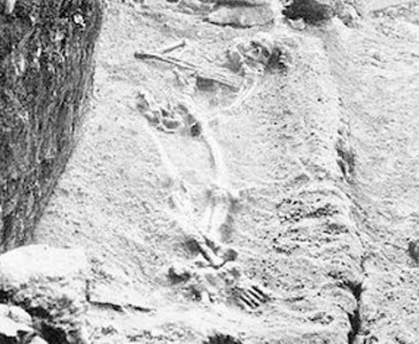 The Adena Giant Revealed: Profile of Prehistoric Mound Builders Gigantic-skeleton