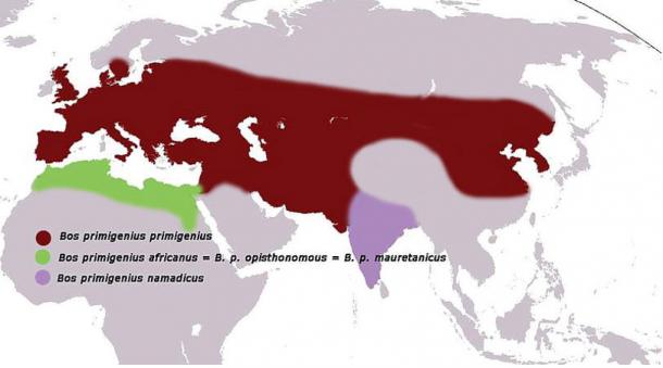 The habitat of Bos primigenius primegenius or aurochs is shown in red. The last living specimen was believed to have died in a Polish forest in 1627.
