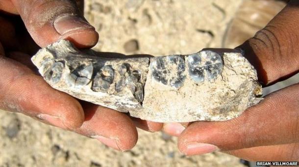 Jawbone Found in Ethiopia Set to Rewrite History