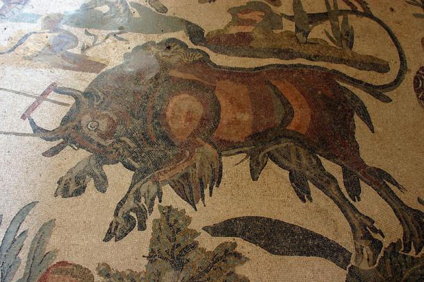 This mosaic from an Italian villa shows a hunt of the ancient aurochs.