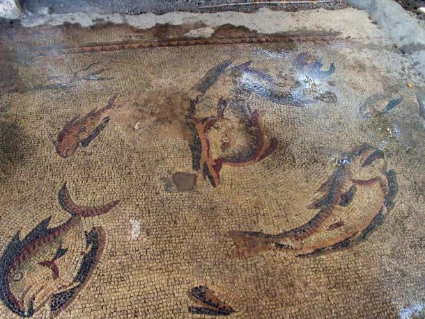 A mosaic of fish in the ancient city