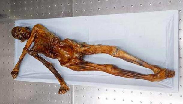 further tales of the family of the iceman come to light further tales of the family of the iceman come to light