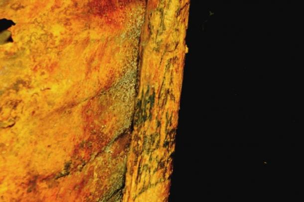 As the mummy's skin is distorted and covered in resin, it is difficult to see many of the tattoos, such as these Hathor cows, with the naked eye.