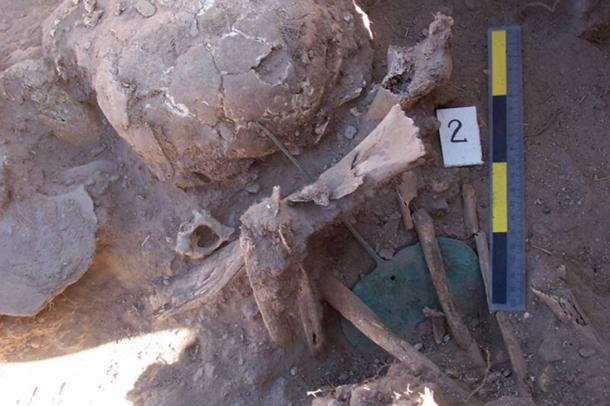 Hundreds of Ancient Mummies Discovered at Ceremonial Site in Peru Partially-disarticulated-mummy