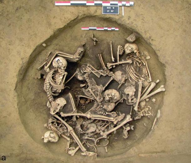 Pit of Amputated Arms in France from 6,000 years ago Suggest War and Trophy-Taking   Photo-and-a-drawing-of-the-skeletons