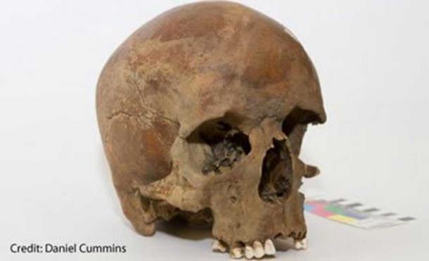 The skull of a European male dating to 1600s found in New South Wales. Credit: Daniel Cummins