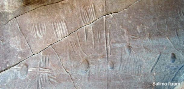 Arte rupestre pre-dinástica inusual descubierto en Egipto