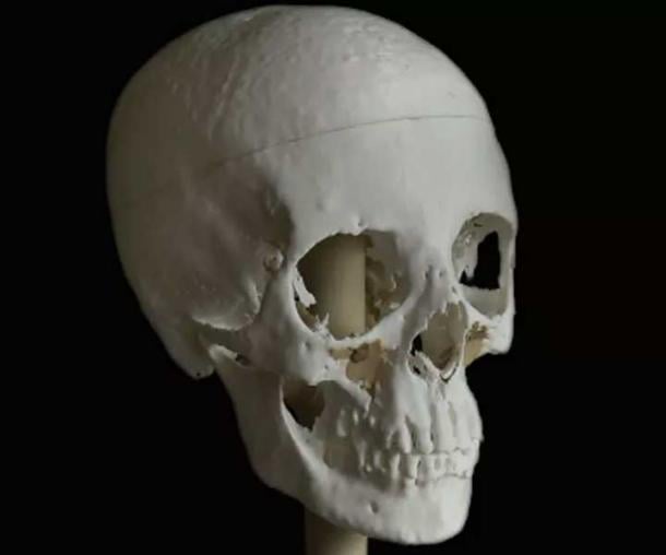 The 3D printed skull of Meritamun took 140 hours to print.