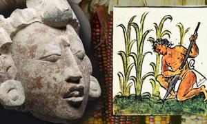 Remembering the Future: How Ancient Maya Agronomists Changed the Modern World