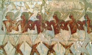 Members of Hatshepsut's trading expedition to the mysterious 'Land of Punt' from this pharaoh's elegant mortuary temple at Deir El-Bahri.