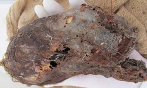 Mummified Head of Newborn Baby with Extremely Elongated Skull Found in Peru Mummified-Head-