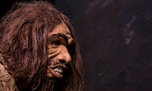  Model of a Neanderthal 