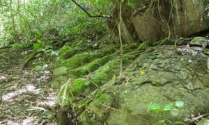 New Expedition Hints at a Lost City Near the Tayos Caves in Ecuador Toes-tayos