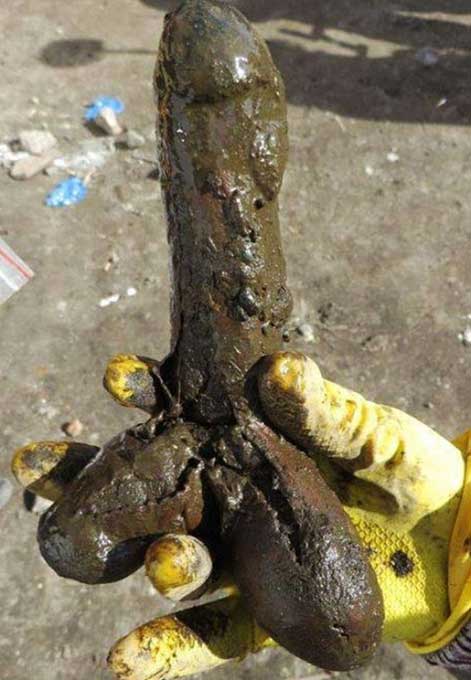The 18th century sex toy unearthed in a Polish latrine. 