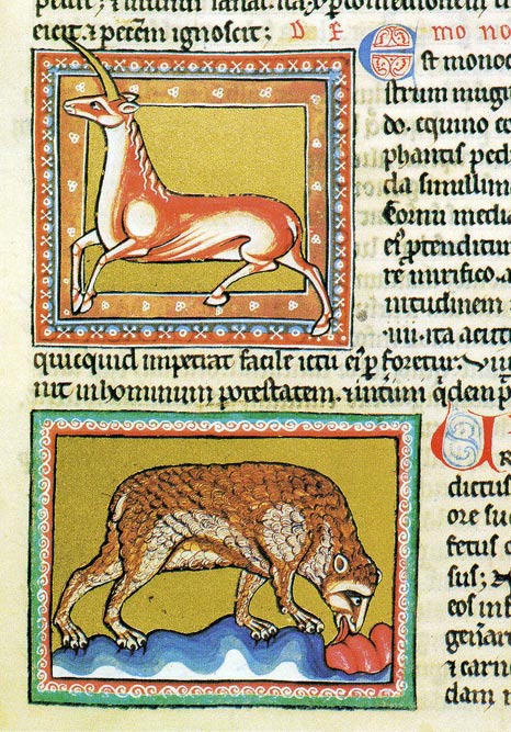 A monoceros (unicorn) above and bear below. The bear was said to give birth to formless, fleshy young, which it would then shape into small bears with the licking of its tongue. Ashmole Bestiary, c. early 13th century.