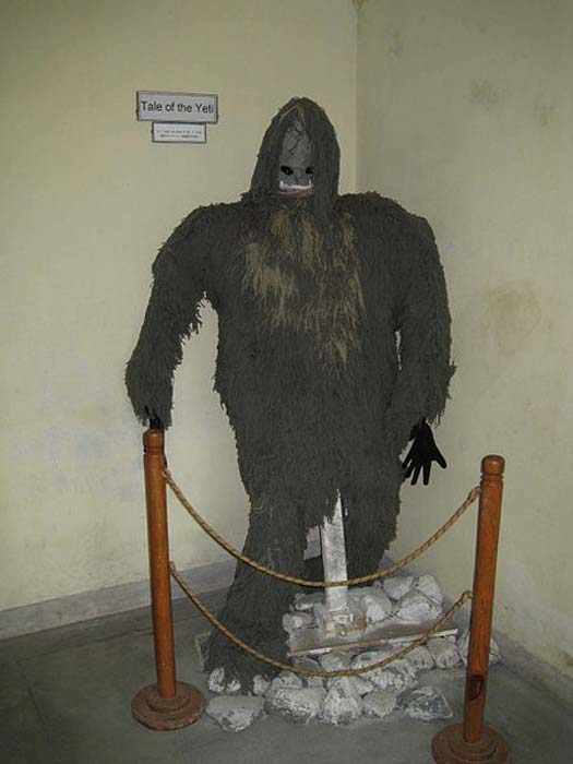 Una rappresentazione di uno Yeti all'International Mountain Museum, Pokhara, Nepal. (MMuzammils / CC BY SA 3.0)