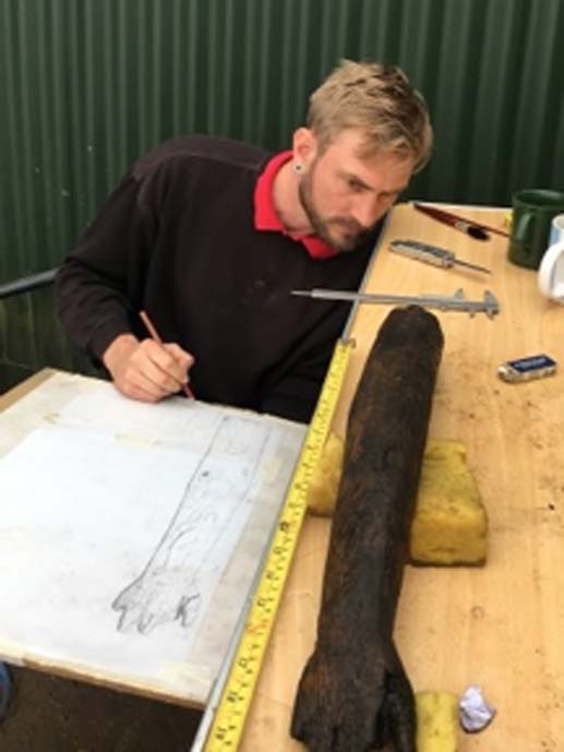 A scale illustration of the wooden arm. (Oxford Archaeology)