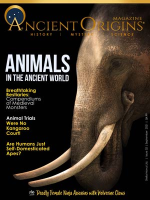 AO Magazine September 2021